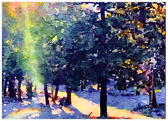 A Light in Winter