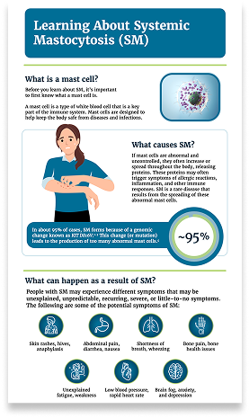 An Overview of SM