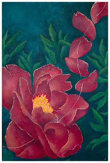 Strength & Fragility